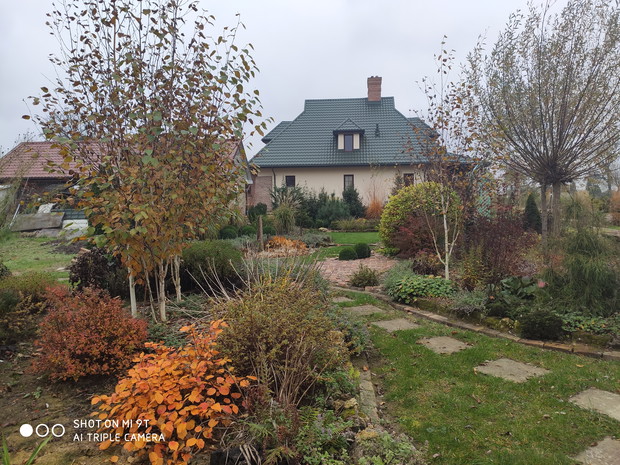jesień - widok na dom z ogrodu