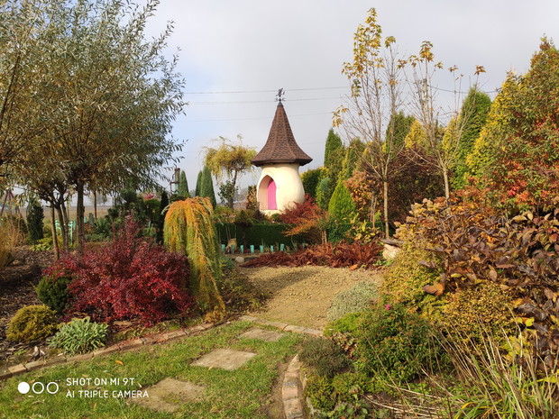 jesień - wieżyczka