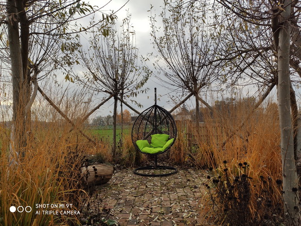 jesień - żywa altana z wierzby