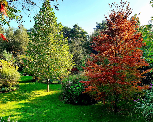 Pierwszy dzień jesieni