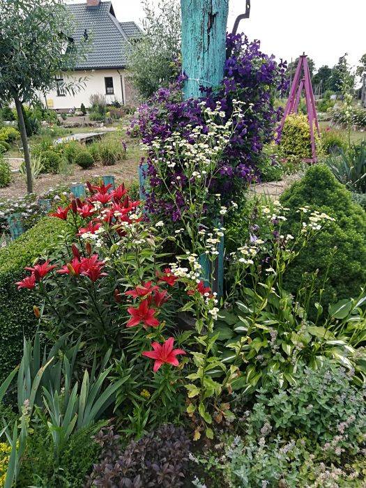 słupek z powojnikiem