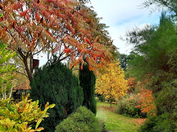 Widok z ogrodowych schodów