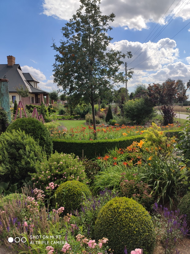 widok z wieżyczki na ogród