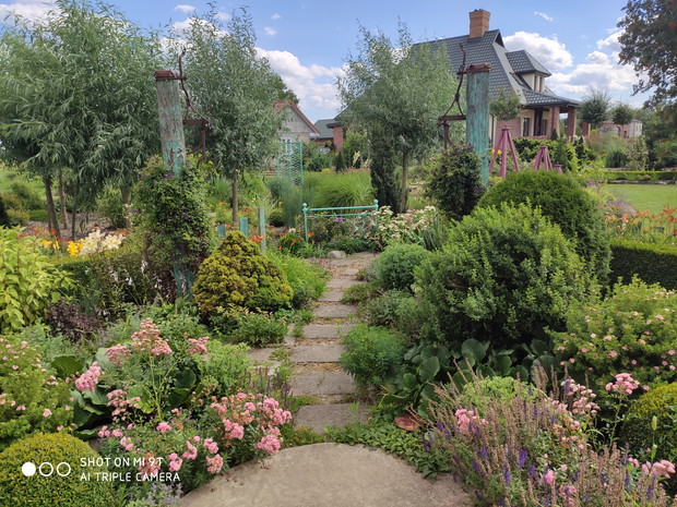 widok z wieżyczki na ogród