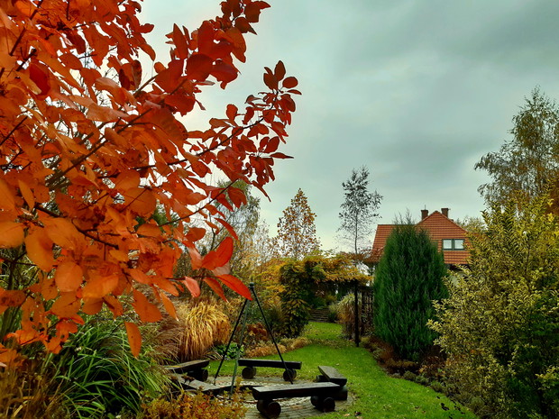 "Zobacz, ile jesieni!..."