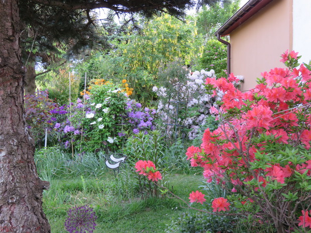 I po by wyjeżdżać jak tu tak pięknie ?