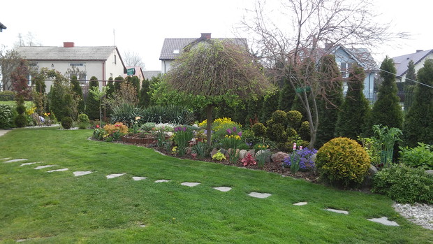 Ogród wczesną wiosną