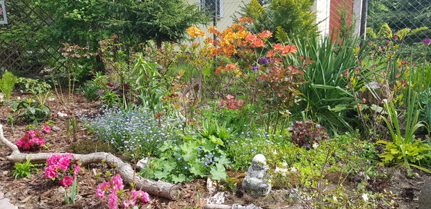 Kolorowa wiosna piękna i radosna