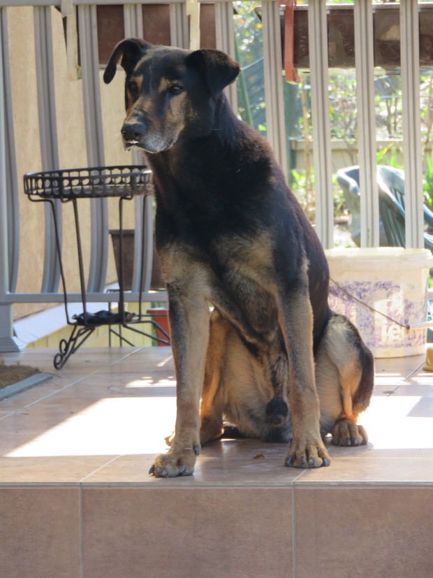 Moje kochanie, którego już z nami nie ma ;(