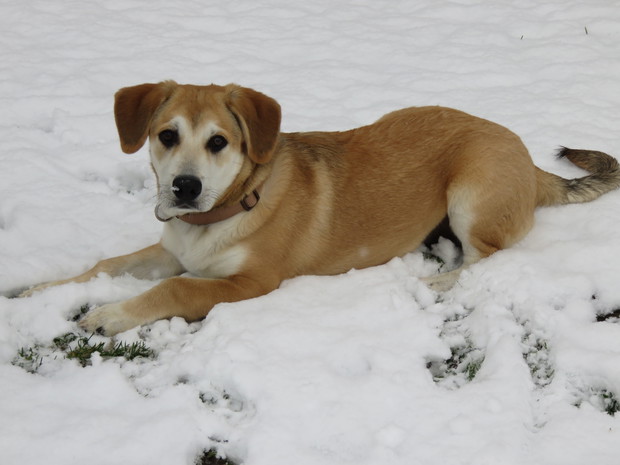 Niko - moja nowa miłość