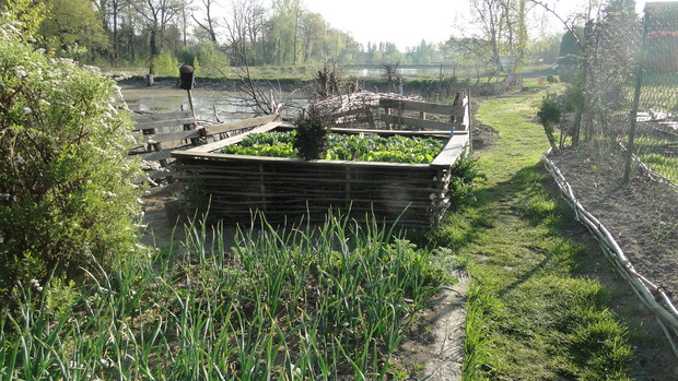 Podwyższone grządki na warzywa