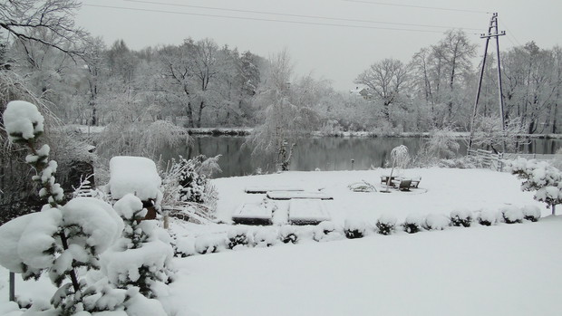 Widok na staw - zima