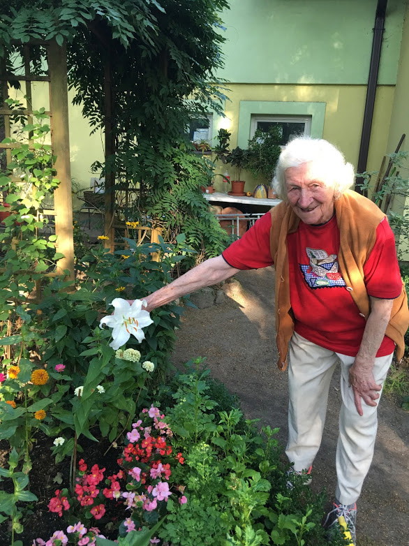 Babcia Lucynka i lilie