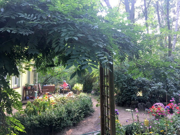 Babcia Lucynka w ogrodzie