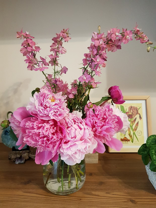 Bukiet piwonii i ostróżek