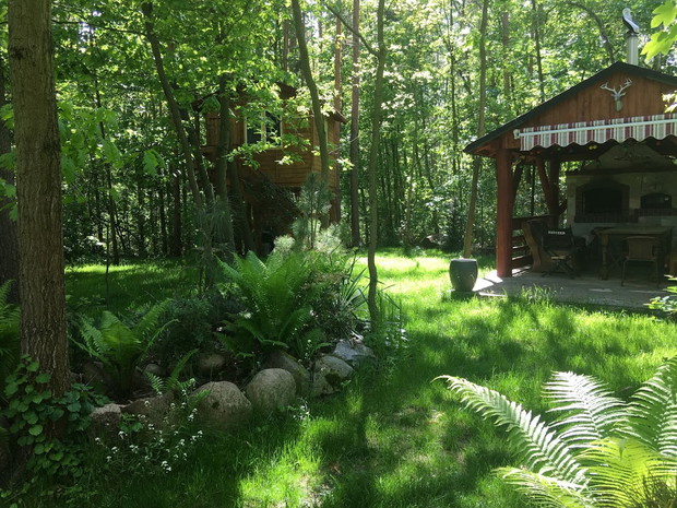 Część leśna ogrodu