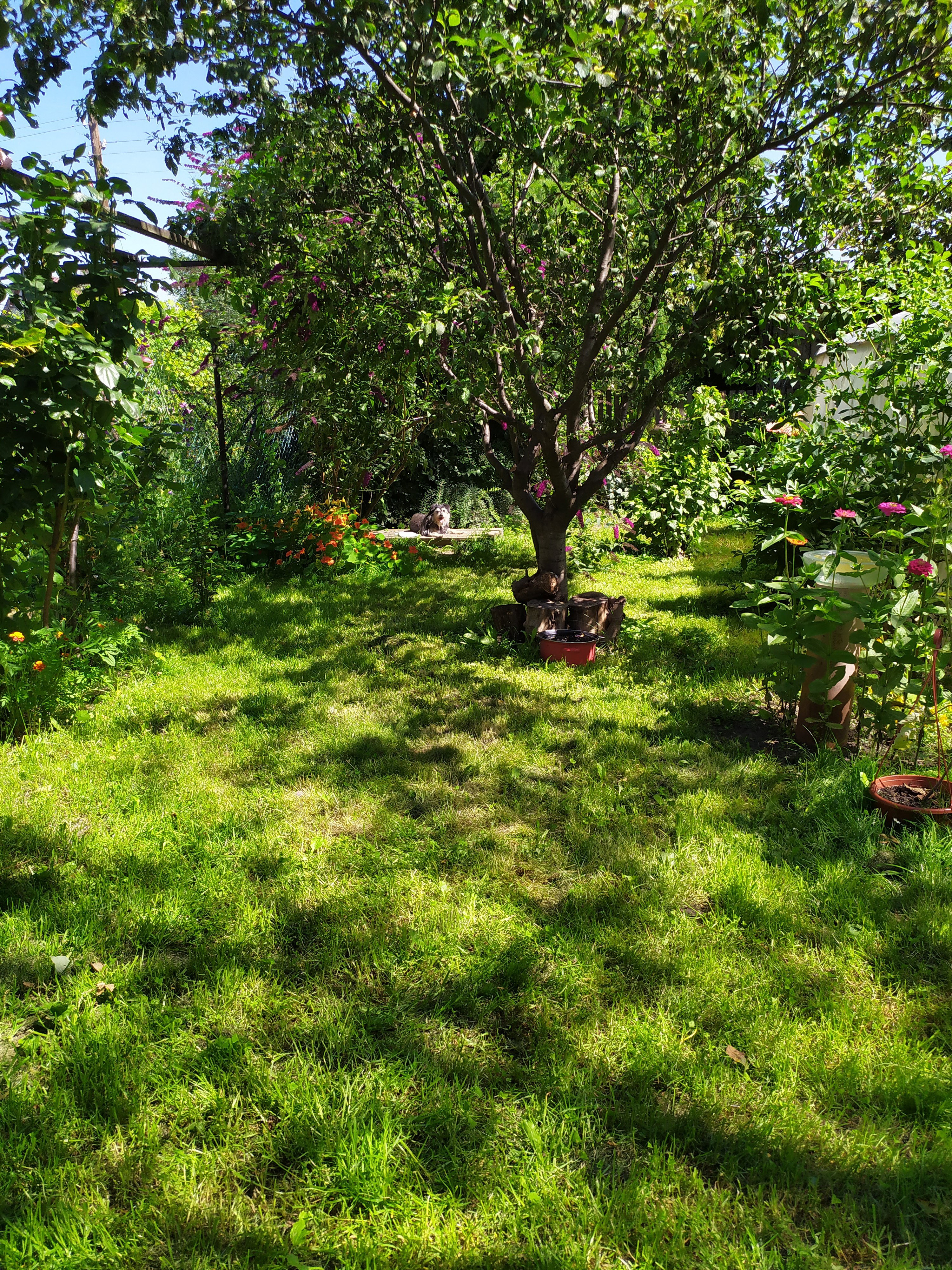 Mój zielony zakątek