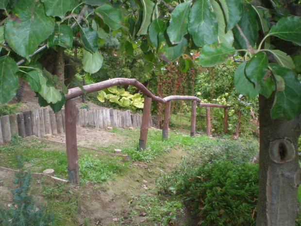 Schody w głąb ogrodu