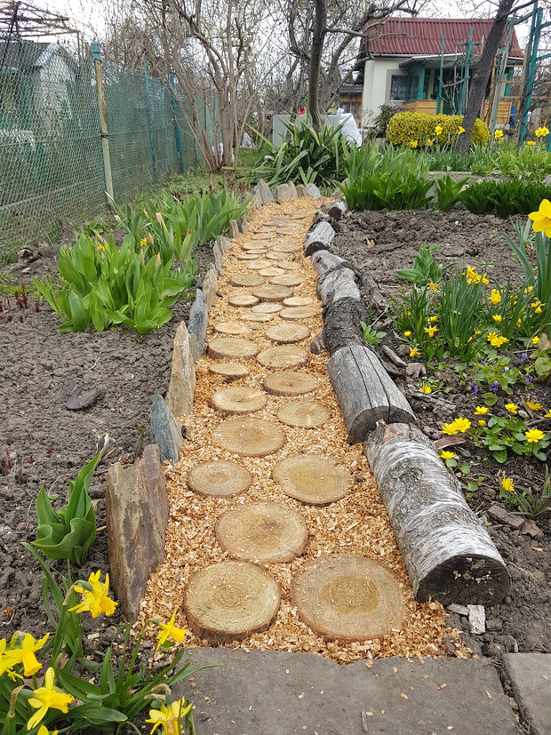 Ścieżka wśród kwiatów