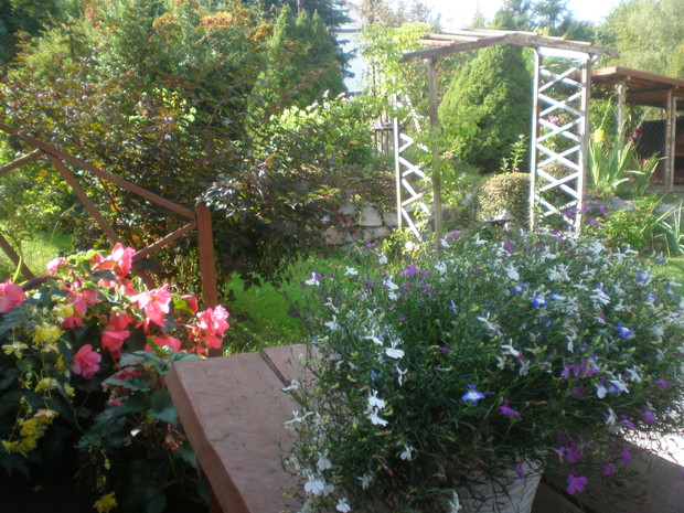 Taras północno-zachodni