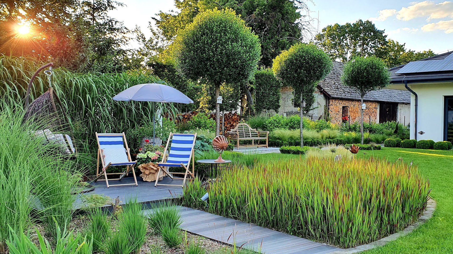 Tarasik wypoczynkowy wśród traw