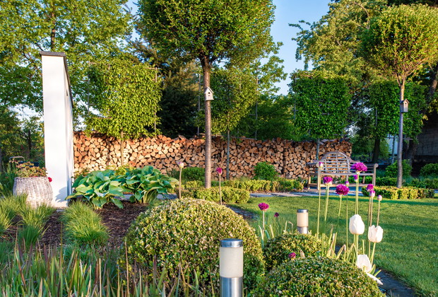 Uwielbiamy bukszpany