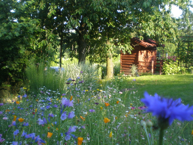 W tle domek na narzędzia