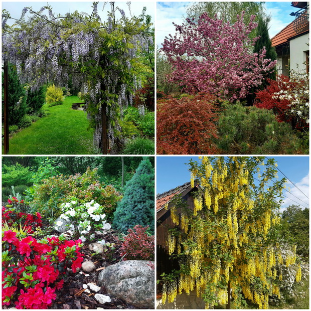 Tak było przed rokiem...