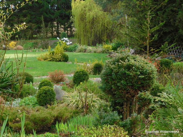 Perspektywa ogrodowa