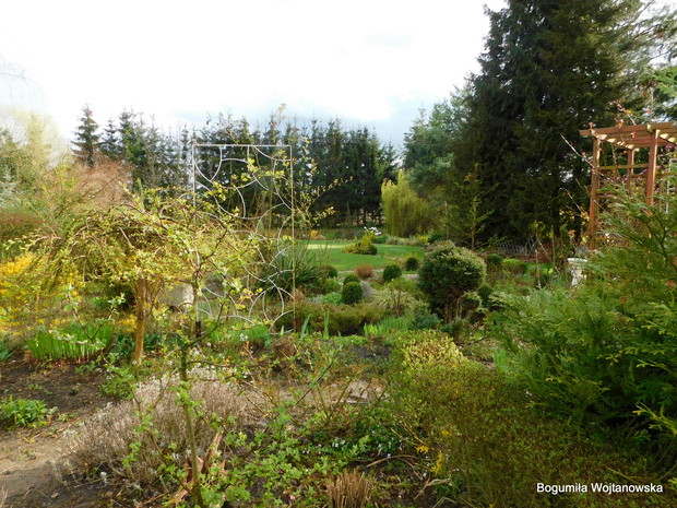 Perspektywa ogrodowa