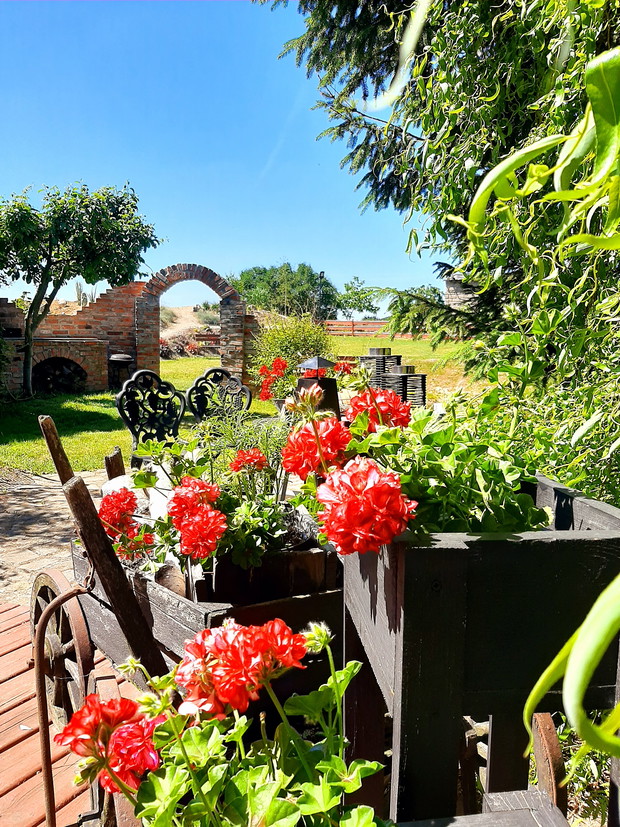 Przy tarasie w dalszej części ogrodu.