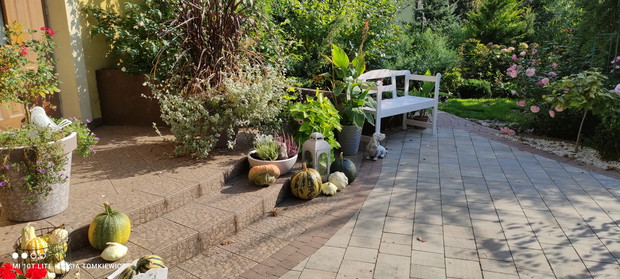 Aranżacja jesienna.