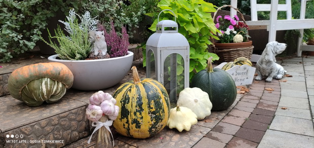 Aranżacja jesienna.