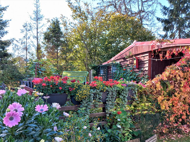 Donice na płocie z kwiatami