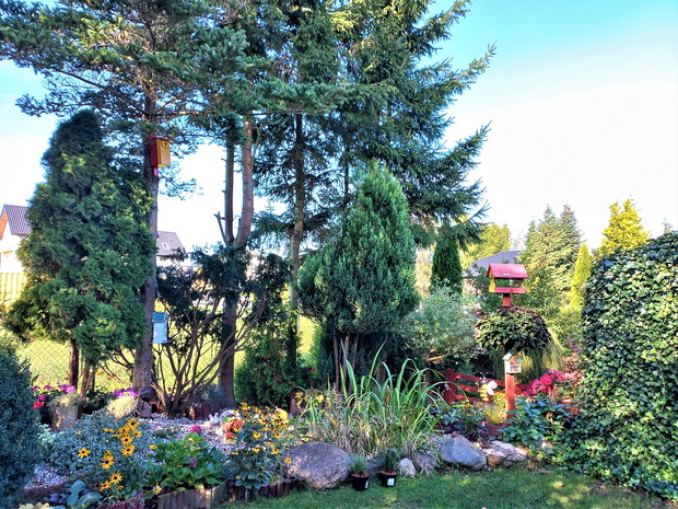 Ogród ze oczkiem i skalniakiem