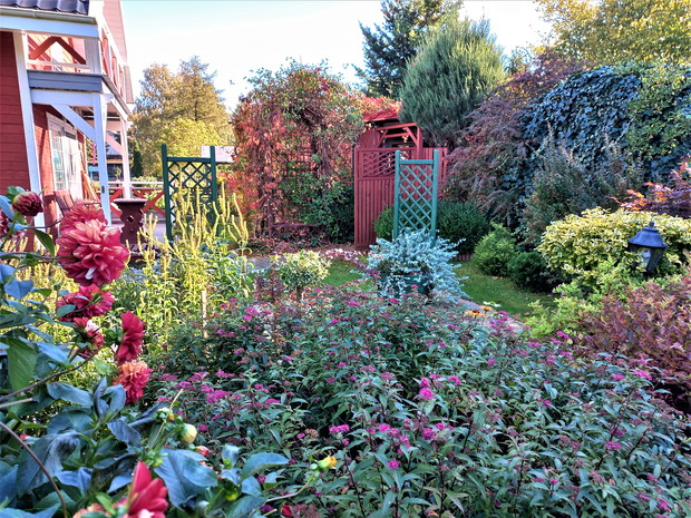 Panorama na większy ogród