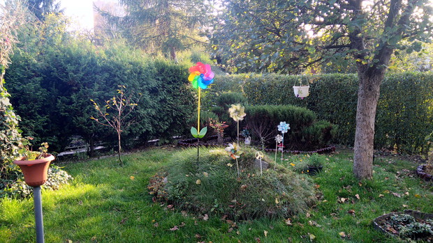 Skalniak i jabłonka