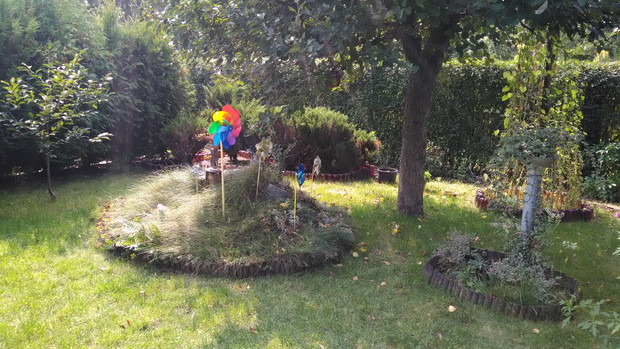 Skalniak i jabłonka