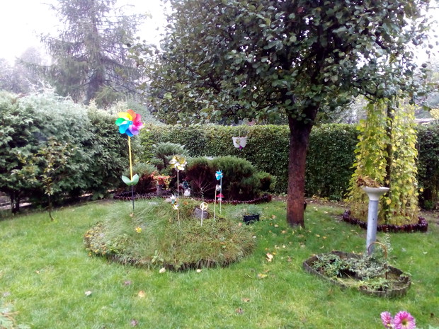 Skalniak i jabłonka