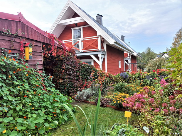 Widok na mały ogród