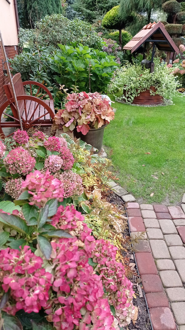 Jesienne chwile zatrzymane