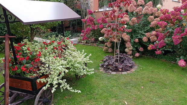 Jesienny obraz w ogrodzie