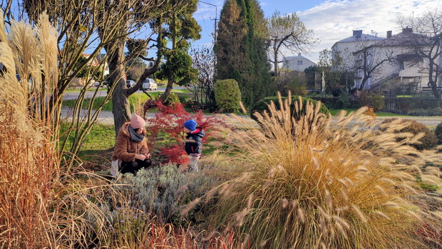 Jesienny urok traw jest niezaprzeczalny.