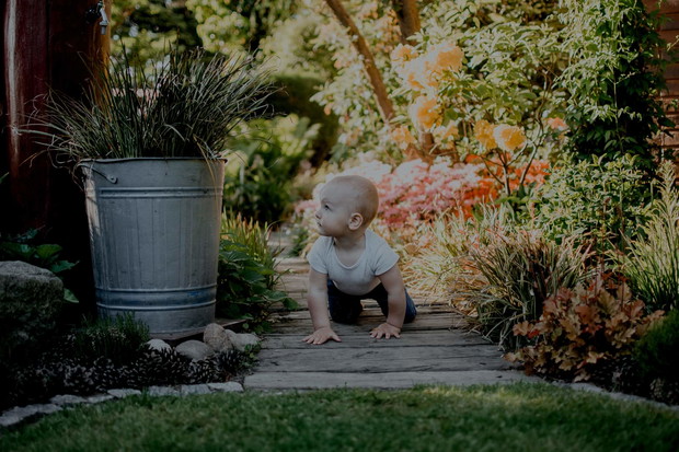 Najpiękniejsza ścieżka w ogrodzie