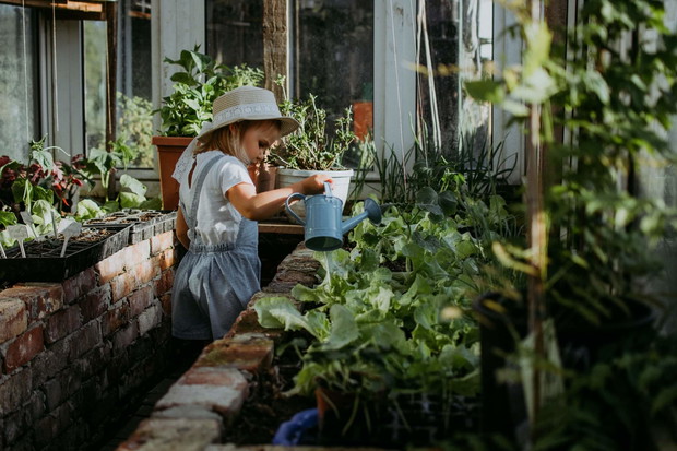 Podlewanie cieszy najmłodszych