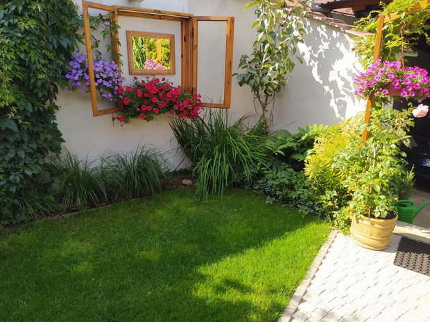 Podwórkowa aranżacja