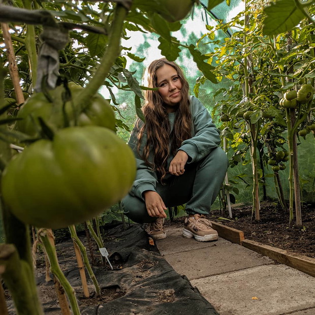 Pomidorowe królestwo