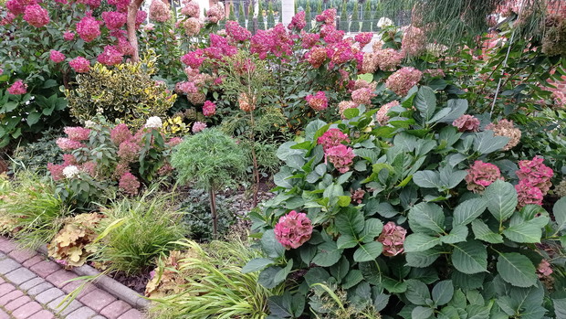 Przedogrodek w jesiennej szacie