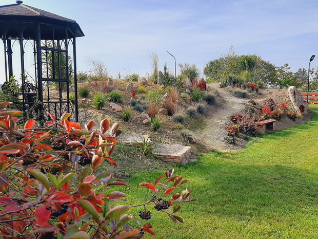 Roczna rabata na skarpie z trawami.