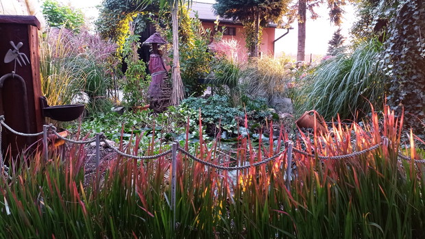 Trawy na pierwszej scenie